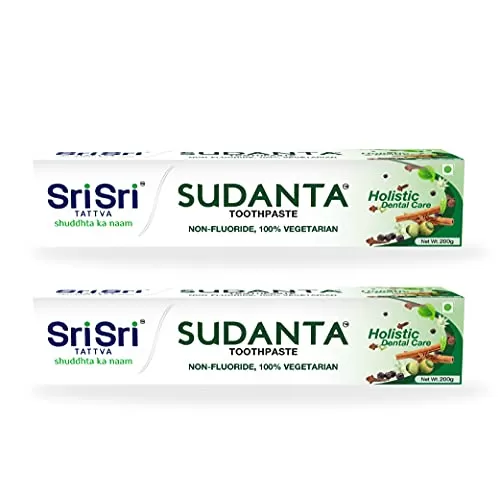 Sri Sri Tattva Sudanta Herbal Toothpaste - All Natural Fluoride Free Tooth Paste with Cloves Cinnamon Bakul & More - 200g (Pack of 2) for Kids and Adults