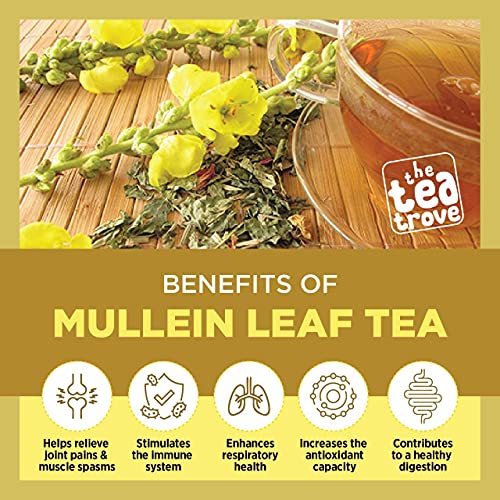 Mullein Tea for lungs Detox (50 gms 100 cups) Mullein Leaf Herb Tea Boost Respiratory Health and Immune Support - Natural Sleep Aid Natural Pain Relief, 3 image