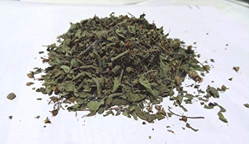 Tulsi Leaves Dried - 100 GM, 3 image