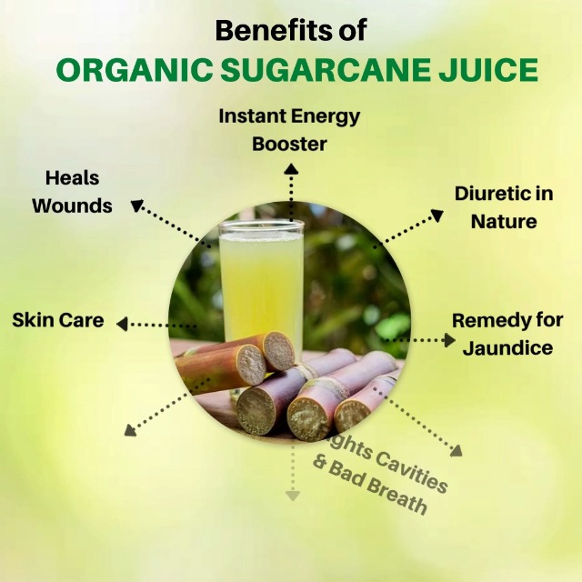 Buy Speciality Organic Sugarcane Juice Ganne Ka Ras (Concentrated) 735 ml |  Globally