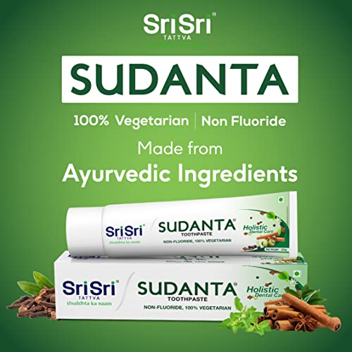 Sri Sri Tattva Sudanta Herbal Toothpaste - All Natural Fluoride Free Tooth Paste with Cloves Charcoal Bakul & More - 50g (Pack of 1) for Kids and Adults, 4 image