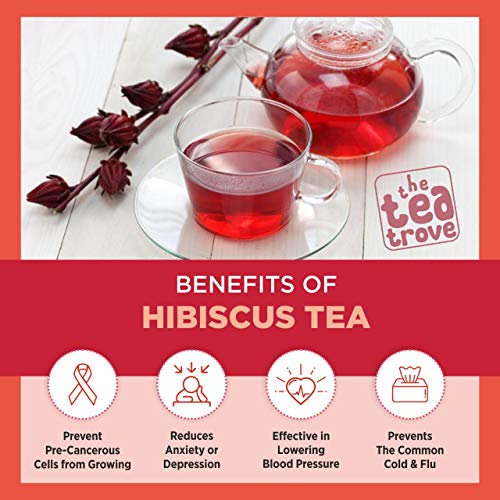 The Tea Trove Hibiscus Tea Organic (100 GMS) for High Blood Pressure  Control Weight Loss and