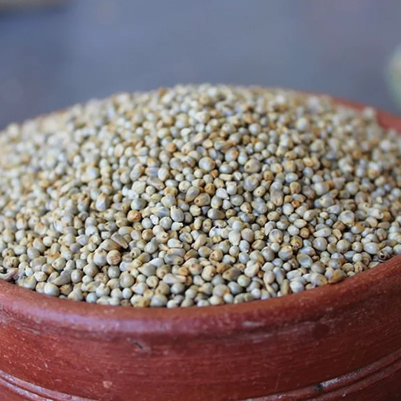 Pearl Millet (Bajra) - 100 % Natural 1kg (35.27 OZ) By Food2FIT
