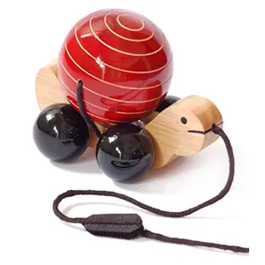 Wooden Pull Toy with Rotating Ball - Tuttu Turtle