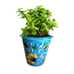 Pottery Decorative-Handcrafted & Painted Floral Planter Vase