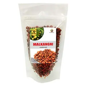 Jioo Organics Malkangni Beej | Jyotishmati | Celastrus Paniculatus Seeds | 100g