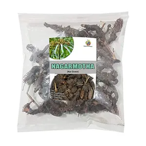 Jioo Organics Nagarmotha | Nut Grass | Mustak | Cyperus Rotundus | Tunga Gaddalu | Nagarmoth | Cyperus Rotundus | 100g