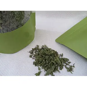 TROPIXX Dried Mint Leaves ( Dried Pudina Leaves) 100g Pack