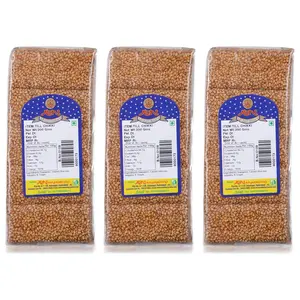 Avni Sesame Seeds Chikki(Pack Of 3X 200 Grams )