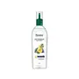 Himalaya Anti-Dandruff Hair Oil | Non Sticky Hair Oil | Removes Dandruff | Provides Scalp Nourishment | Made with Tea Tree Oil Neem & Rosemary | For Women & Men | 100 ML