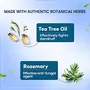 Himalaya Anti-Dandruff Hair Oil | Non Sticky Hair Oil | Removes Dandruff | Provides Scalp Nourishment | Made with Tea Tree Oil Neem & Rosemary | For Women & Men | 100 ML, 3 image