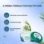 Himalaya Herbals Anti-Dandruff Hair Cream 100  ML, 5 image