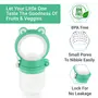 R for Rabbit First Feed Premium Soft Silicon Chewing Soothing Nibbler for Babies | Hygenic & BPA Free| Baby Fruit & Food Veggie Teether | Pacifier/Feeder for Infant 4+ Months (Green), 2 image
