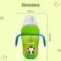 LuvLap Banana Time 210ml Anti Spill, Interchangeable Sipper / Sippy Cup with Soft Silicone Spout and Straw BPA Free, 6m+ (Green), 8 image