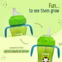 LuvLap Banana Time 210ml Anti Spill, Interchangeable Sipper / Sippy Cup with Soft Silicone Spout and Straw BPA Free, 6m+ (Green), 6 image