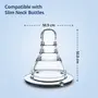LuvLap Anti-Colic Essential Teat/Nipple for Slim Neck Bottle,4pcs Slow Flow, 0m+, Made of Soft & Flexible Silicone, Ergonomic Shape, Mimics Breastfeeding, Leak Proof, BPA Free, Comes with Sturdy Base, 7 image
