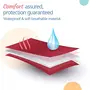 LuvLap Instadry Anti-Piling Fleece Extra Absorbent Quick Dry Sheet for Baby, Pack of 1, Maroon & Anti-Colic Slim/Regular Neck Essential Baby Feeding Bottle, 250ml,, 5 image