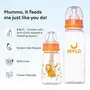 Mylo Baby 2 in 1 Feeding Bottles with Spoon for New Born Baby (125ml + 250ml) | Anti Colic & BPA Free Feeding Bottles | Feels Natural Baby Bottle | Easy Flow Neck Design- Lion + Zesty Orange, 3 image